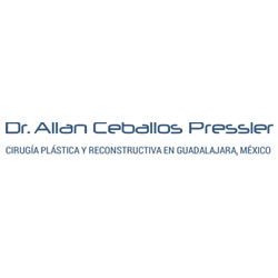 Diseño y Desarrollo Web